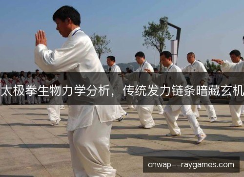 太极拳生物力学分析，传统发力链条暗藏玄机